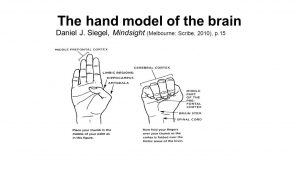 Daniel J Siegel The Hand Model of the Brain